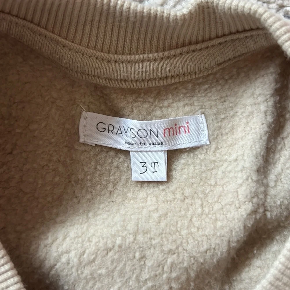 Grayson mini Toddler Girl Leopard Print Sweatshirt Dress Size 3t
